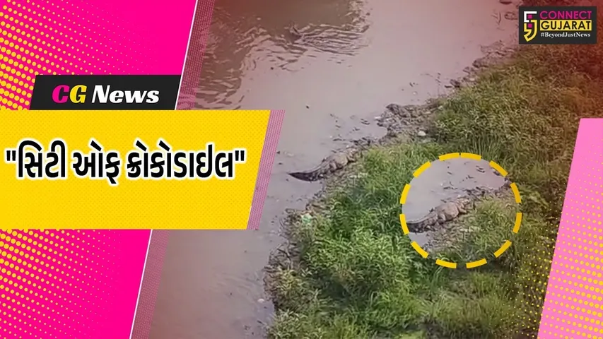 Vadodara Crocodile