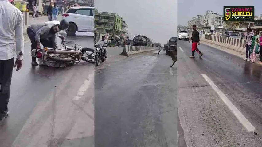 mirabagar ankleshwar