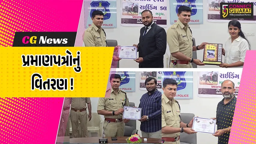 Horse Riding Training