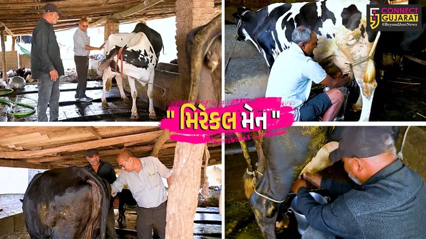 Artificial insemination