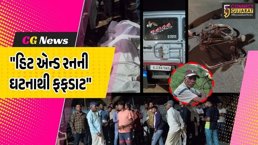 Dahod Hit And Run Case