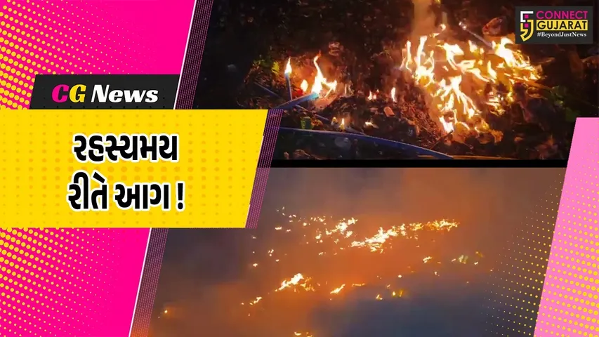 WhatsApp Image 2026-03-06 at 10.06.36 AM