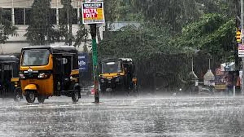 rain 