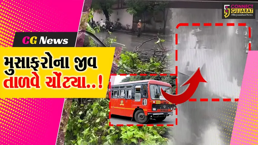 bus plti