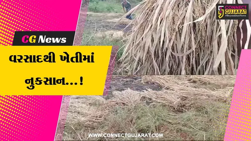 Valsad Heavy Rainfall