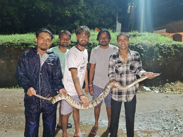 snake