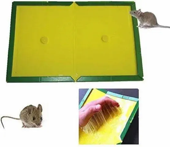 images (8)aaa