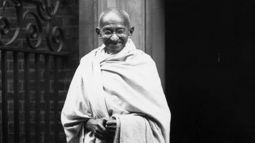 Why didn't Gandhi drink cow-buffalo milk?