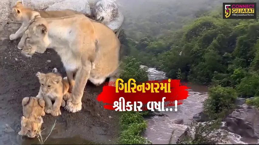 Gir jngle