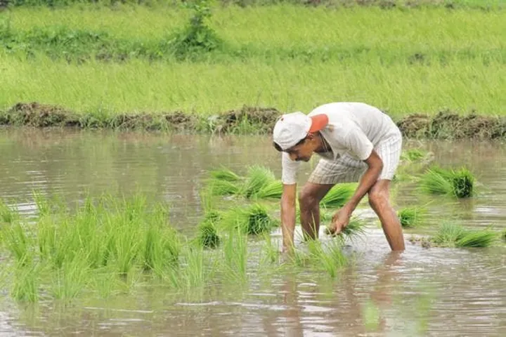 સરકાર