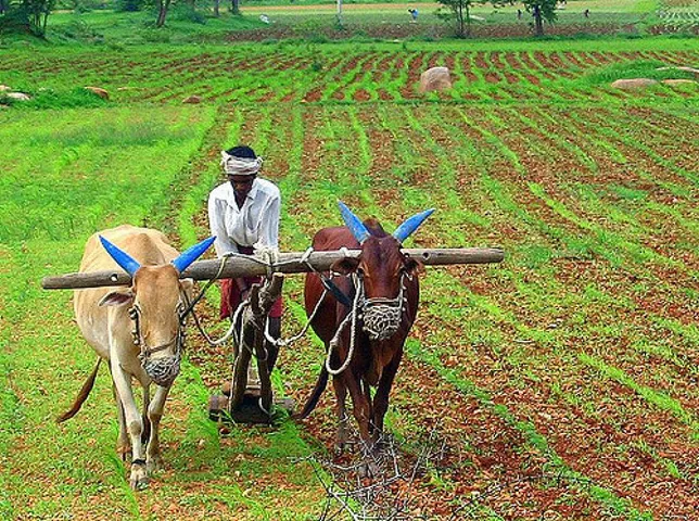 રાજ્ય સરકાર