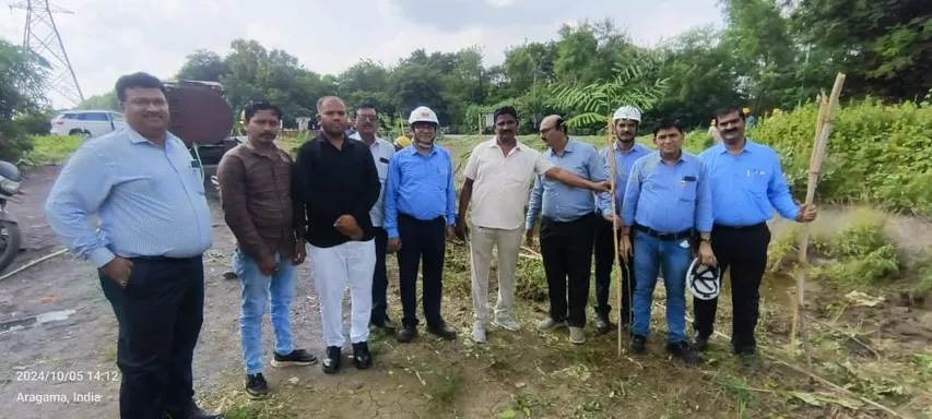 Tree Plantation