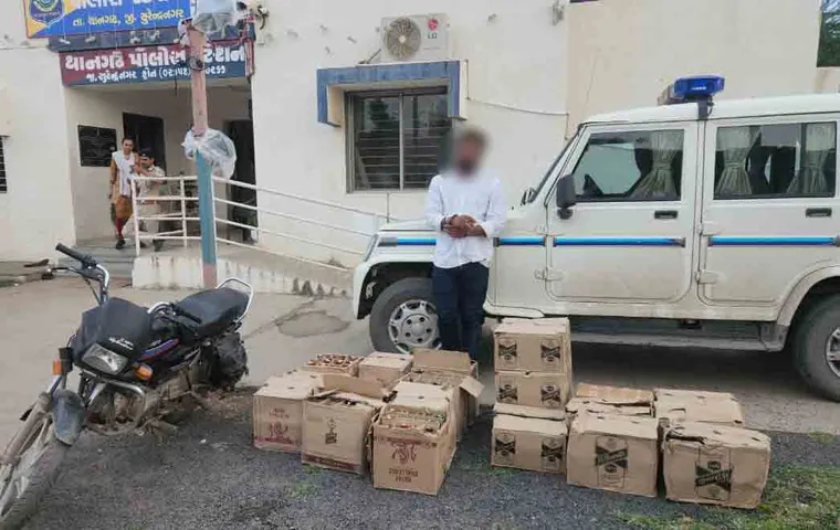 WhatsApp Image 2024-08-13 at 9.51.52 PM