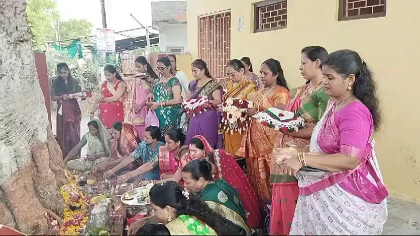 jmbusar.png