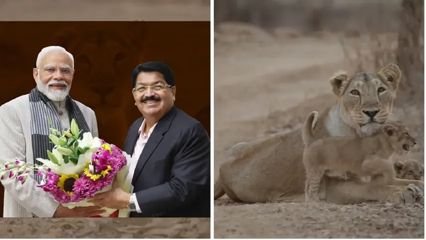 gir gajavti