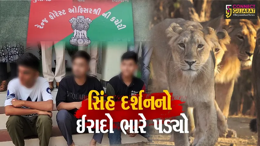 ગેરકાયદેસર સિંહ દર્શન