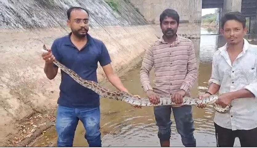 surendranagr 