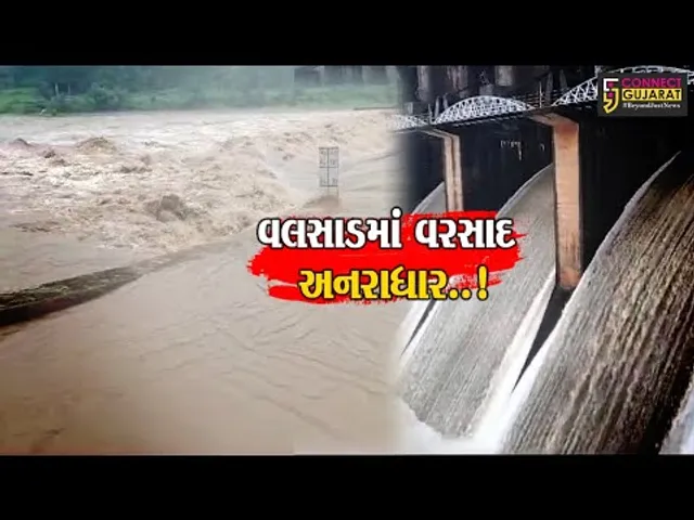 વલસાડમાં અનરાધાર..! : ભારે વરસાદના પગલે શાળા-કોલેજોમાં રજા જાહેર કરાય, NDRFની ટીમ પણ તૈનાત થઈ