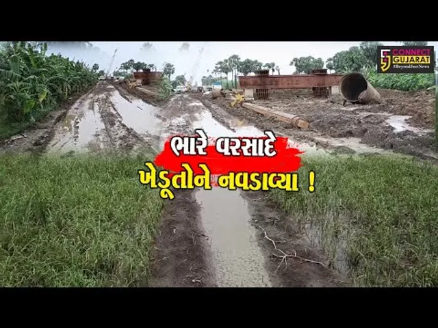 અંકલેશ્વર: ભારે વરસાદે ખેડૂતોને રાતા પાણીએ રોવડાવ્યા, હજારો હેકટર જમીનમાં પાકને ભારે નુકશાન