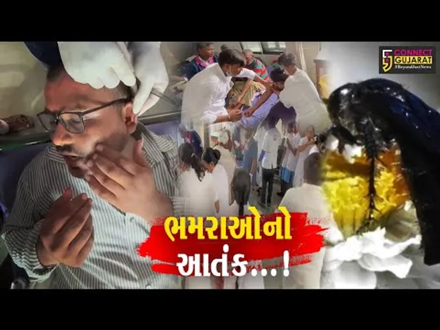અરવલ્લી : ભિલોડાના કમઠાડિયા ગામે સ્મશાનમાં ભમરાનું ઝુંડ ત્રાટક્યું, 35 લોકો ડંખથી ઇજાગ્રસ્ત થયા