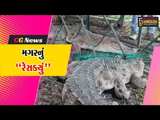 ભરૂચ : આમોદ તાલુકાના વેડચા ગામની નહેરમાં મગર જોવા મળતા ગ્રામજનોમાં ફફડાટ, વન વિભાગે કર્યું રેસક્યું.