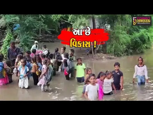 ભરૂચ: જંબુસરના વેડચ ગામે વિકાસના ધજાગરા ઉડાડતા દ્રશ્યો, જુઓ બાળકો કઈ રીતે જાય છે શાળાએ