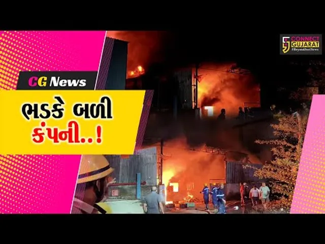 સંઘ પ્રદેશ દાદરા નગર હવેલીમાં પ્લાસ્ટિક બનાવતી કંપનીમાં ફાટી નીકળી ભીષણ આગ, ફાયર ફાઇટરો દોડ્યા...