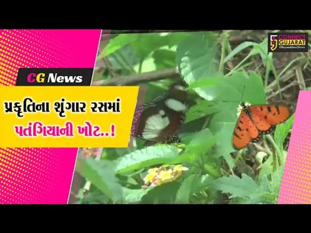 અંકલેશ્વર : પ્રકૃતિના શૃગાર રસમાં ક્યાંક પડી મોટી ખોટ..!, રંગબેરંગી પતંગિયાઓની પ્રજાતિ બની દુર્લભ...