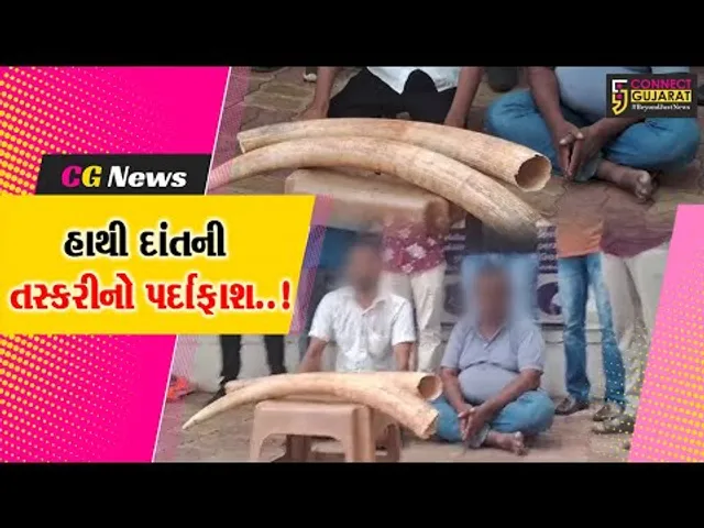 વડોદરા : લાખોની કિંમતના હાથી દાંતની તસ્કરીનો પર્દાફાશ, SOG પોલીસે કરી 2 શખ્સોની ધરપકડ...