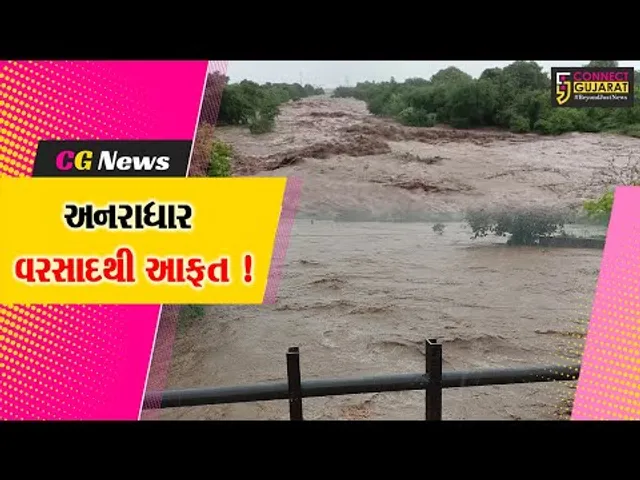 ભરૂચ: નેત્રંગ પંથકમાં 4 જ કલાકમાં 5.5 ઇંચ વરસાદ, નદી-નાળા છલકાયા