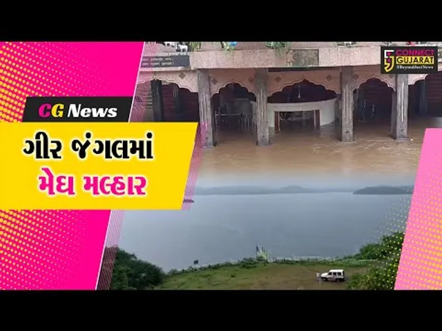 ગીર સોમનાથ : જિલ્લાના જળાશયોમાં નવા નીરની આવક , સિંચાઈ અને પીવાના પાણીની થઈ રાહત