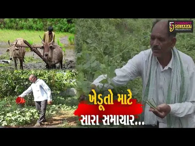 ખેડૂતો માટે “નવી યોજના” : પ્રાકૃતિક પદ્ધતિથી શાકભાજીની ખેતી કરતા ખેડૂતોને ગુજરાત સરકાર સહાય આપશે...
