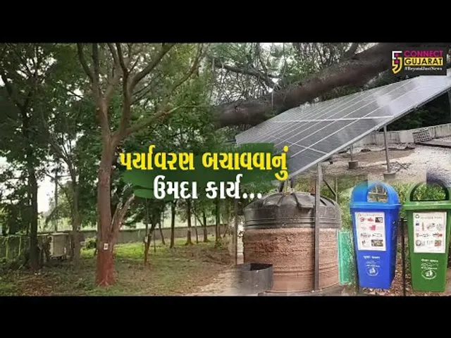 ભરૂચ : નર્મદા કોલેજ દ્વારા પર્યાવરણ બચાવવાનો સુંદર પ્રયાસ, કુદરતી સંપદાનો સંકુલને બનાવ્યું હરિયાળું