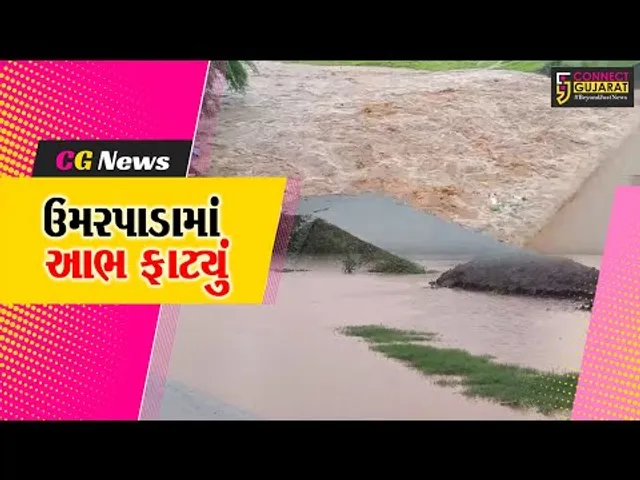 સુરત: ઉમરપાડામાં જળબંબાકાર , 4 કલાકમાં 14 ઇંચ ખાબક્યો