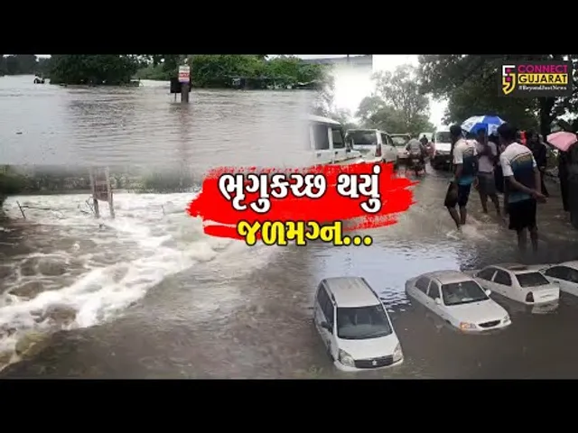 ભરૂચ અને અંકલેશ્વરમાં જળબંબાકારની પરિસ્થિતિ, ઠેર ઠેર વરસાદી પાણીની જમાવટ...
