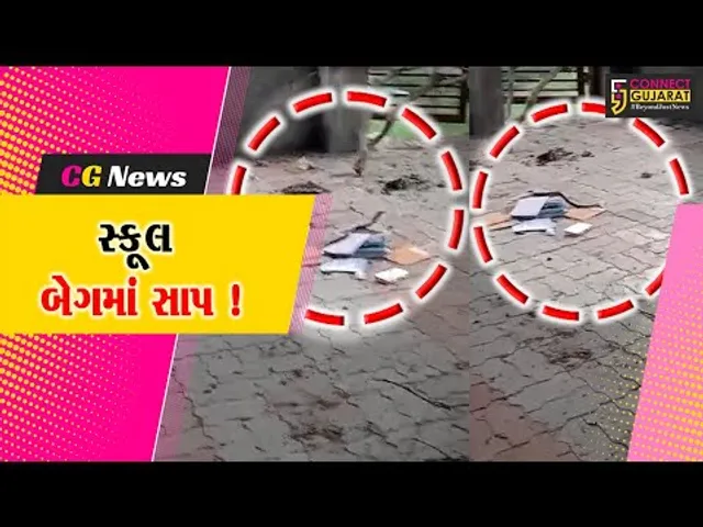 સાબરકાંઠા: શાળામાં વિદ્યાર્થીના સ્કૂલ બેગમાંથી સાપ નિકળતા દોડધામ,માંડ માંડ સાપને બહાર કઢાયો