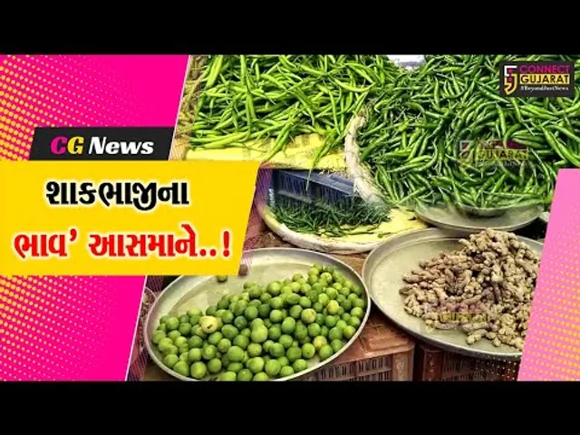 ગુજરાતમાં અનરાધાર વરસાદના પગલે શાકભાજીના ભાવમાં ઉછાળો, ગૃહિણીઓનું બજેટ ખોરવાયું...