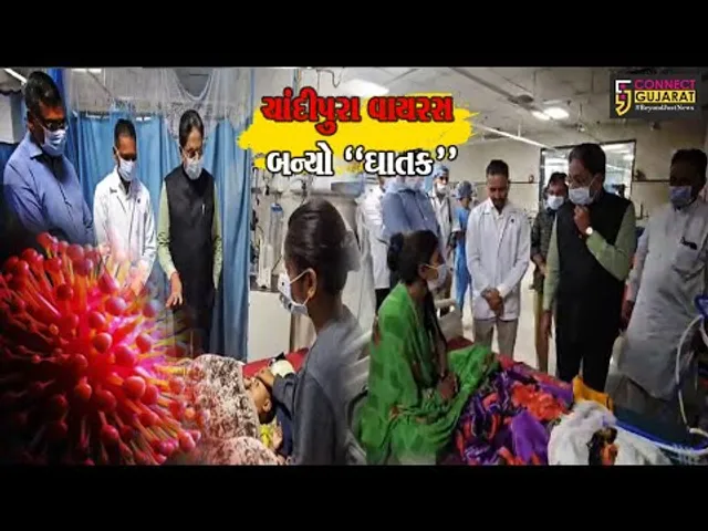 ચાંદીપુરા વાયરસને લઈ સરકારની ચિંતામાં વધારો, આરોગ્ય મંત્રી ઋષિકેશ પટેલે યોજી સમીક્ષા બેઠક