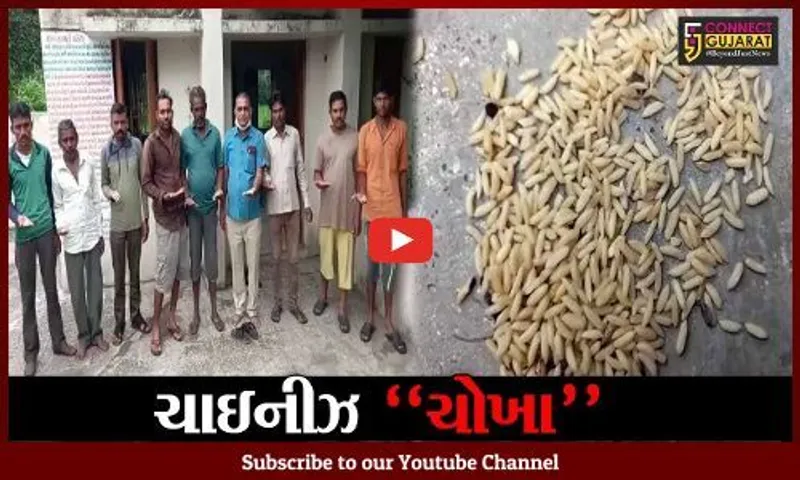 આણંદ : લક્ષ્મીપુરા શાળામાં પ્લાસ્ટિકના ચાઇનીઝ ચોખા ફાળવ્યા હોવાનો આક્ષેપ, ગ્રામજનોએ મચાવ્યો હોબાળો
