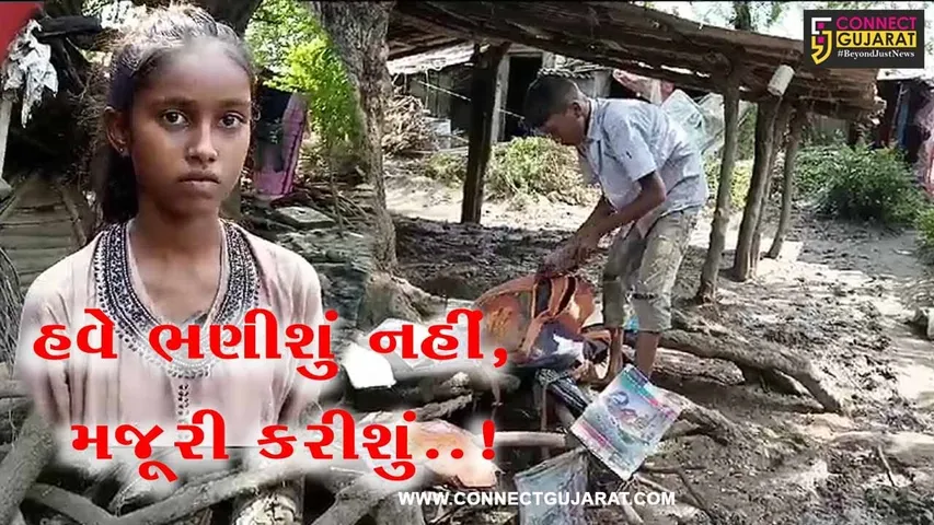 "હવે ભણીશું નહીં, મજૂરી કરીશું" : પૂરના કારણે અંકલેશ્વરના જુના બોરભાઠા બેટની વિદ્યાર્થીની લક્ષ્મીની આપવીતી...