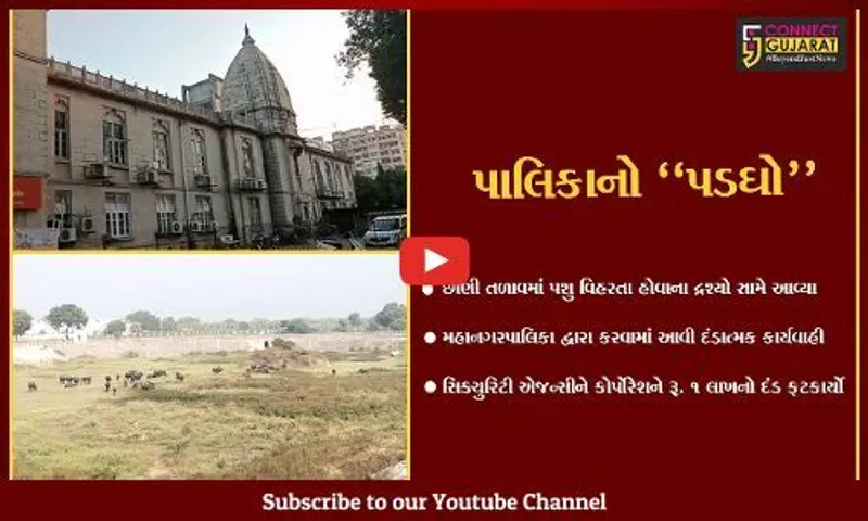 વડોદરા : છાણી તળાવમાં પશુઓ વિહરતા સિક્યુરિટી એજન્સીને કોર્પોરેશને ફટકાર્યો રૂ. 1 લાખનો દંડ...