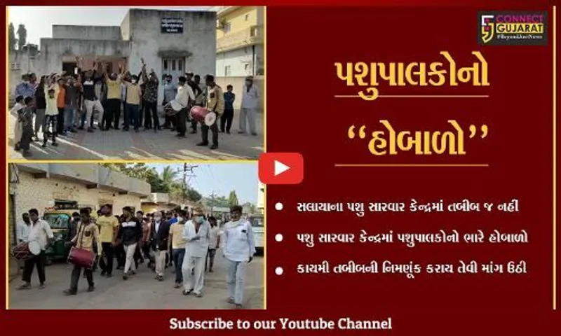 દેવભૂમિ દ્વારકા : સલાયાના પશુ સારવાર કેન્દ્રમાં પશુપાલકો તો આવે છે, પણ તબીબ નહીં..!