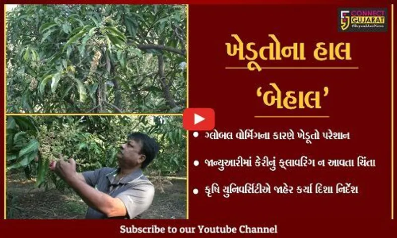 નવસારી : વાતાવરણમાં આવતા પલટાના કારણે ખેડૂતો પરેશાન, કૃષિ યુનિવર્સિટી આવી પડખે