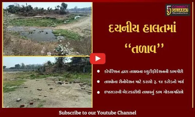 વડોદરા : છાણી ગામ તળાવની હાલત દયનીય, કરોડોના ખર્ચે ચાલતી કામગીરી ગોકળગતિએ...
