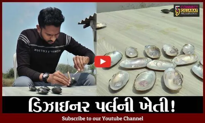 ભરૂચ: હાંસોટ સાહોલ ગામના યુવાન ખેડૂતે કરી પાણીમાં ડિઝાઇનર પર્લની ખેતી