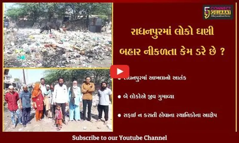 પાટણ: રાધનપુરમાં આખલાના હુમલામાં 2 લોકોના મોત બાદ પણ તમાશો જોતી નગરપાલિકા,જુઓ સ્થાનિકોએ શું કર્યા આક્ષેપ.