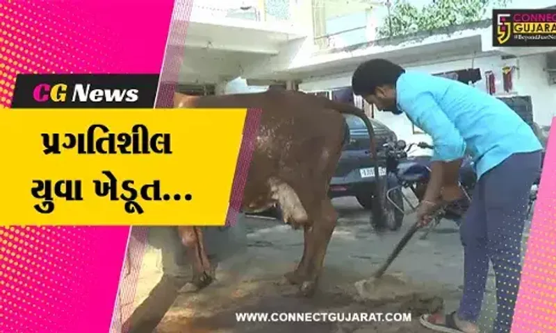 સાબરકાંઠા : BBAનો અભ્યાસ છોડી દેશાસણના યુવાને શરૂ કરી પ્રાકૃતિક ખેતી, અને મેળવી બમણી આવક...