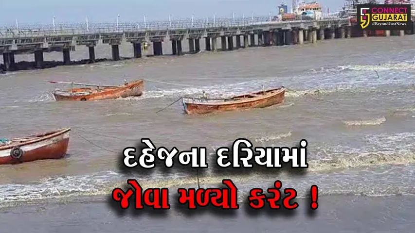 ભરૂચ: દહેજમાં ભારે પવન ફૂંકાવવાનું શરૂ, વાવાઝોડાની શક્યતાના પગલે તંત્ર એલર્ટ
