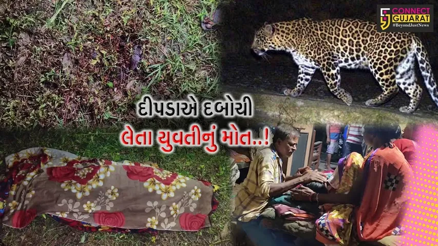 નવસારી : શિકારની શોધમાં ઝાડ પર બેઠેલા દીપડાએ યુવતીને ગળાના ભાગેથી દબોચી, યુવતીનું ઘટના સ્થળે મોત…
