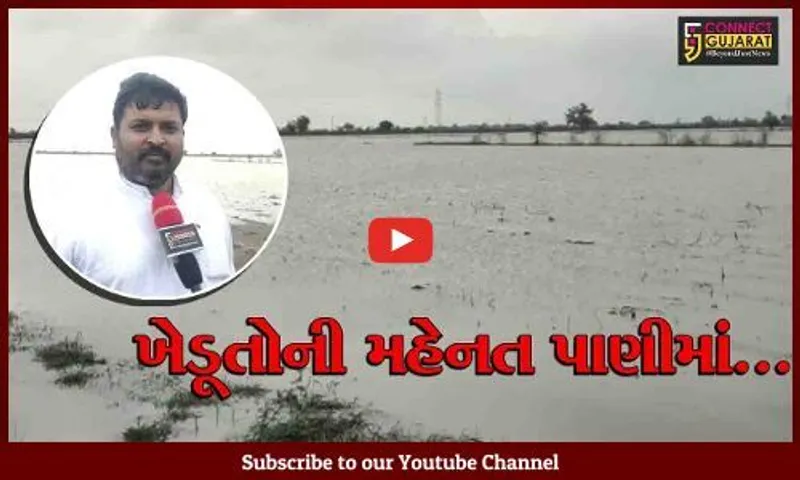 ભરૂચ : વાગરા તાલુકાના ગ્રામ્ય વિસ્તારોમાં વરસાદે સર્જી તારાજી, ખેડૂતોનો પાક નષ્ટ થવાના આરે....